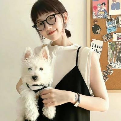 小镇警事